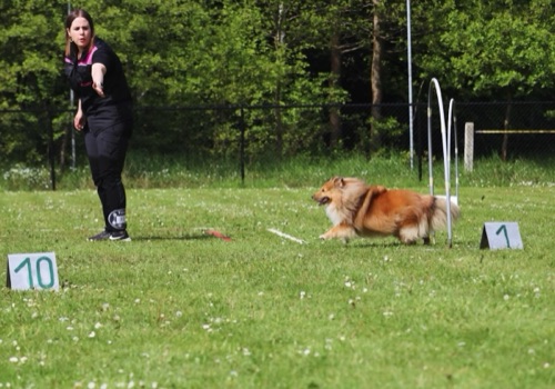 Préparation Hoopers - discipline douce